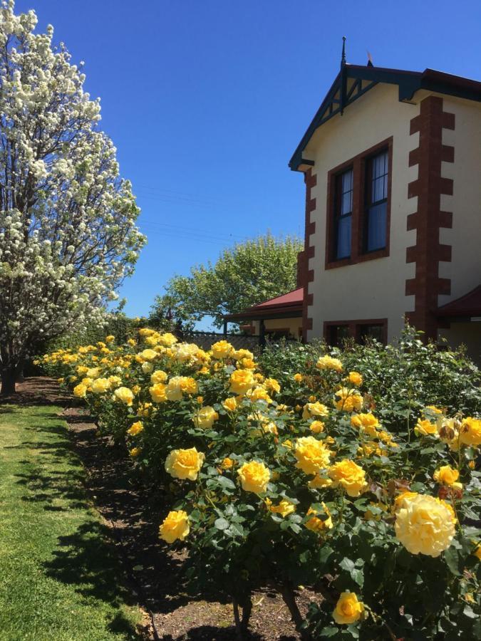 Wine And Roses Bed And Breakfast Adelaide Exterior photo
