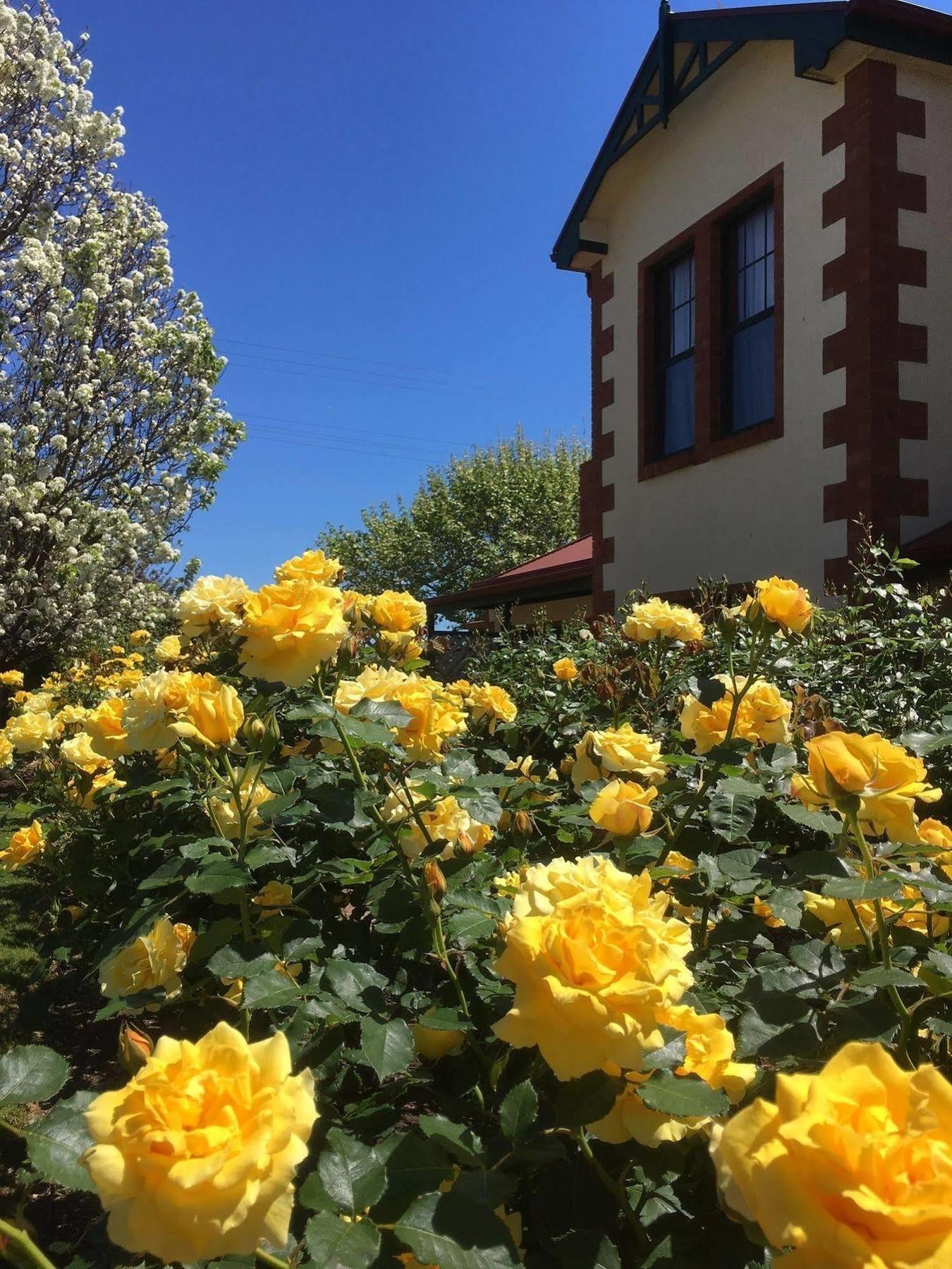 Wine And Roses Bed And Breakfast Adelaide Exterior photo